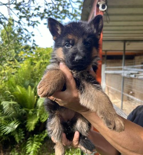 509599660_31149486057983554_4307367945479029319_n