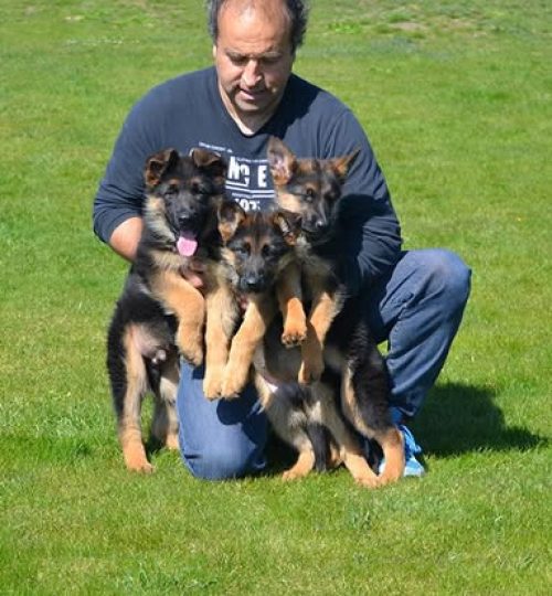 515954557_31377708651827959_8506566194378276405_n