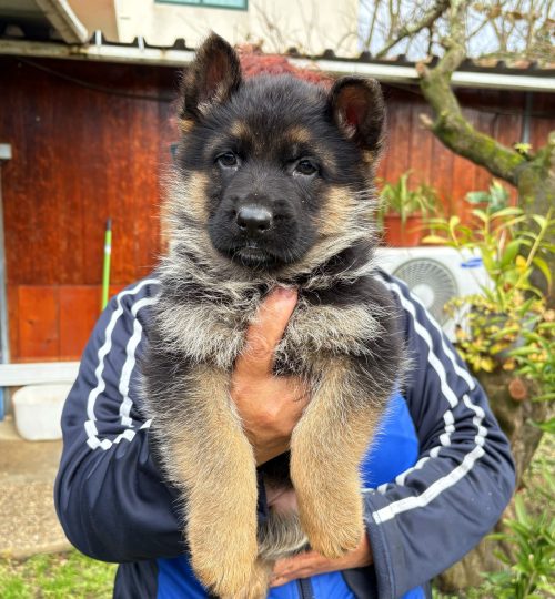 612446464_34382108398054621_3896085273374232591_n